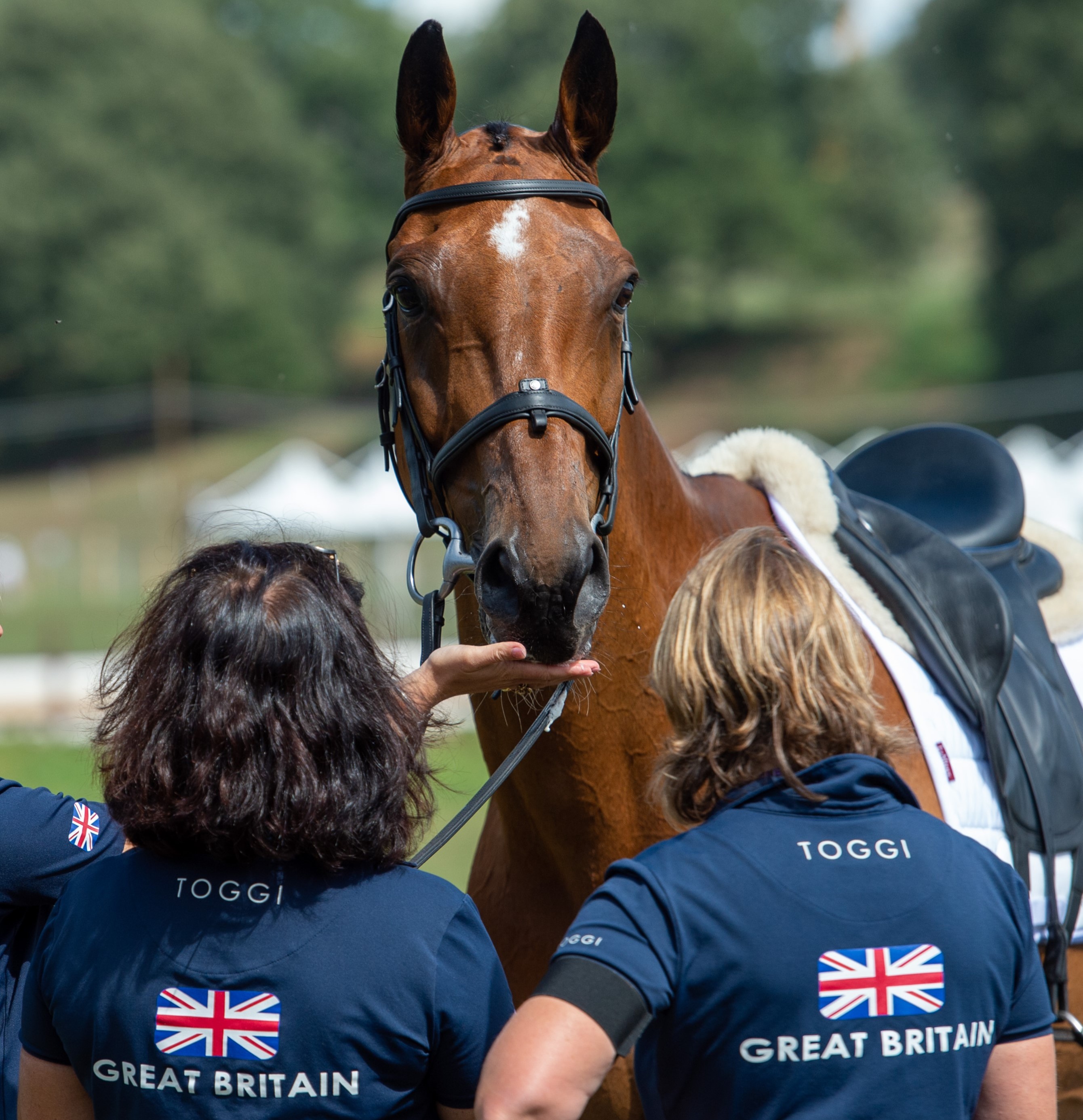 buy the team toggi kit